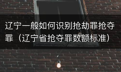 辽宁一般如何识别抢劫罪抢夺罪（辽宁省抢夺罪数额标准）