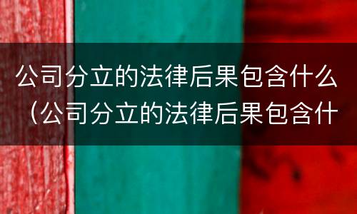 公司分立的法律后果包含什么（公司分立的法律后果包含什么问题）