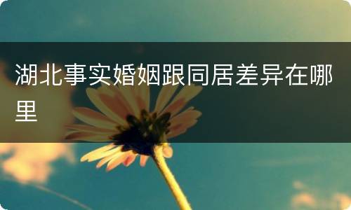 湖北事实婚姻跟同居差异在哪里