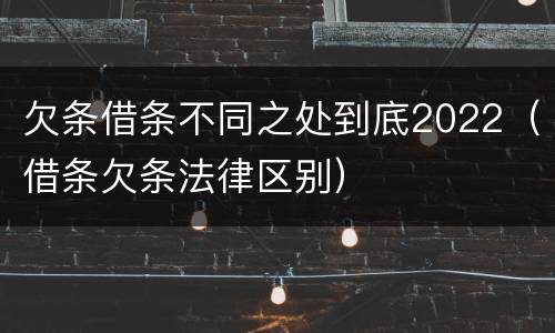 欠条借条不同之处到底2022（借条欠条法律区别）