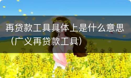 再贷款工具具体上是什么意思（广义再贷款工具）