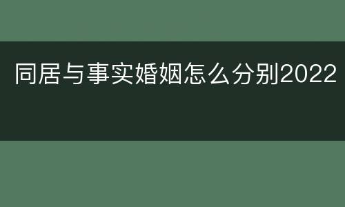 同居与事实婚姻怎么分别2022