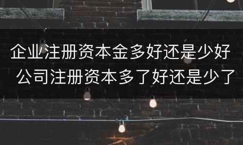 企业注册资本金多好还是少好 公司注册资本多了好还是少了好