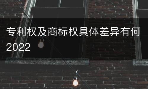 专利权及商标权具体差异有何2022