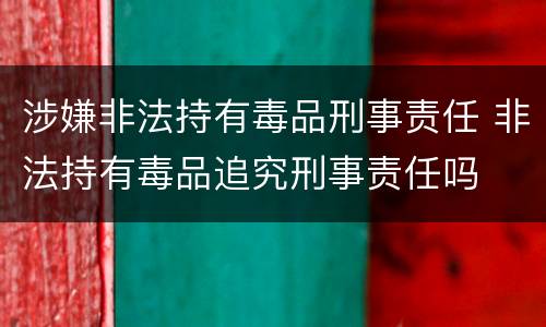 涉嫌非法持有毒品刑事责任 非法持有毒品追究刑事责任吗