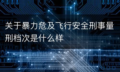 关于暴力危及飞行安全刑事量刑档次是什么样