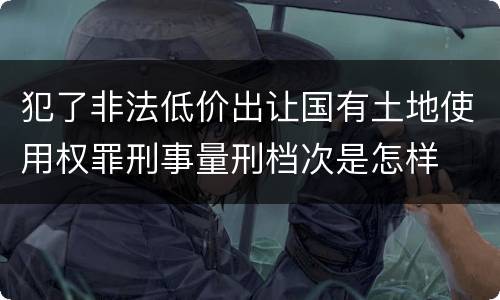 犯了非法低价出让国有土地使用权罪刑事量刑档次是怎样