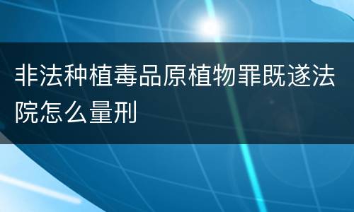 非法种植毒品原植物罪既遂法院怎么量刑