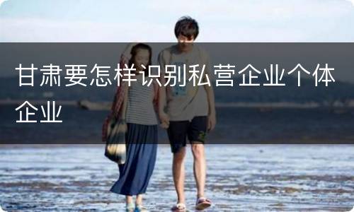 甘肃要怎样识别私营企业个体企业