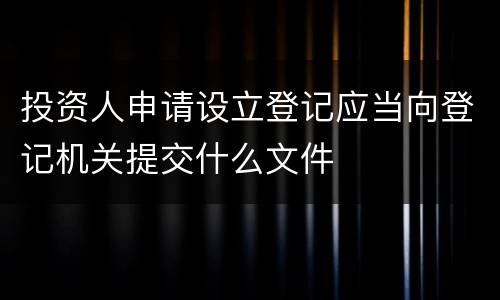 投资人申请设立登记应当向登记机关提交什么文件