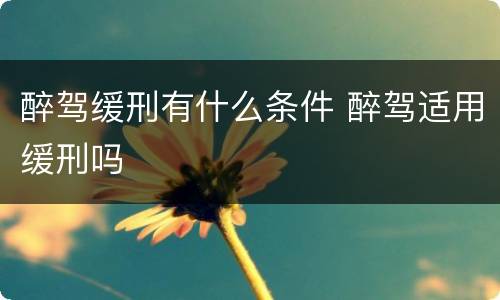 醉驾缓刑有什么条件 醉驾适用缓刑吗