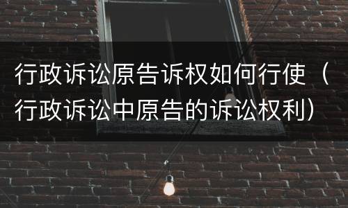 行政诉讼原告诉权如何行使（行政诉讼中原告的诉讼权利）