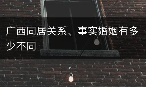 广西同居关系、事实婚姻有多少不同