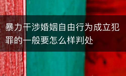 暴力干涉婚姻自由行为成立犯罪的一般要怎么样判处