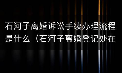 石河子离婚诉讼手续办理流程是什么（石河子离婚登记处在哪）