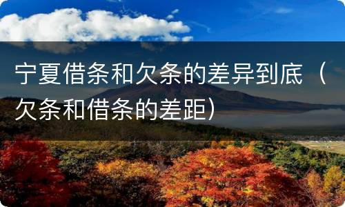 宁夏借条和欠条的差异到底（欠条和借条的差距）
