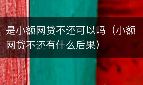 是小额网贷不还可以吗（小额网贷不还有什么后果）