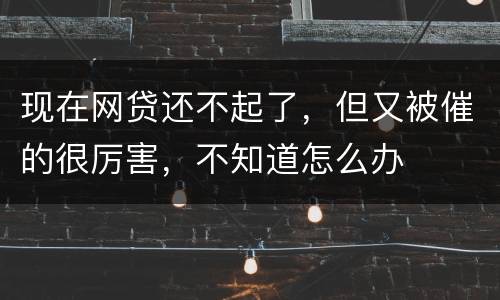 现在网贷还不起了，但又被催的很厉害，不知道怎么办
