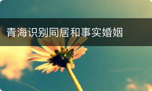 青海识别同居和事实婚姻