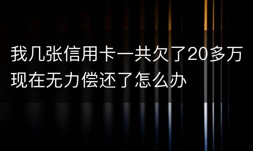 我几张信用卡一共欠了20多万现在无力偿还了怎么办