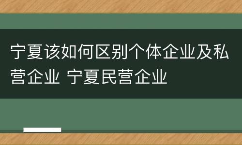 宁夏该如何区别个体企业及私营企业 宁夏民营企业