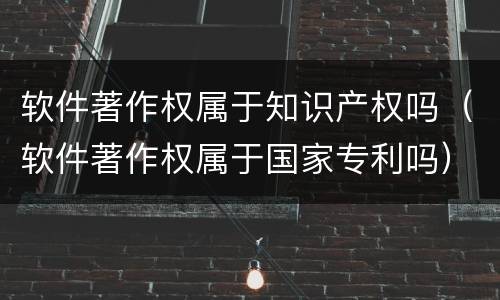 软件著作权属于知识产权吗（软件著作权属于国家专利吗）