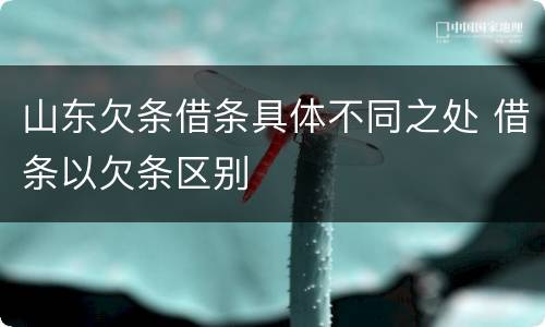 山东欠条借条具体不同之处 借条以欠条区别