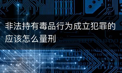 非法持有毒品行为成立犯罪的应该怎么量刑