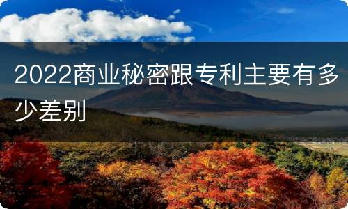 2022商业秘密跟专利主要有多少差别