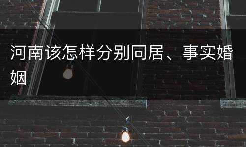河南该怎样分别同居、事实婚姻