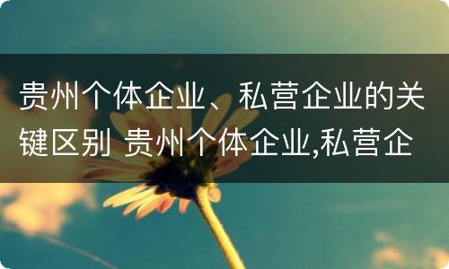 贵州个体企业、私营企业的关键区别 贵州个体企业,私营企业的关键区别在于