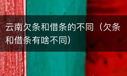 云南欠条和借条的不同（欠条和借条有啥不同）
