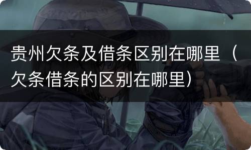贵州欠条及借条区别在哪里（欠条借条的区别在哪里）