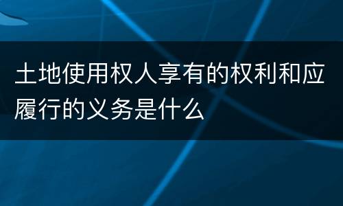 土地使用权人享有的权利和应履行的义务是什么