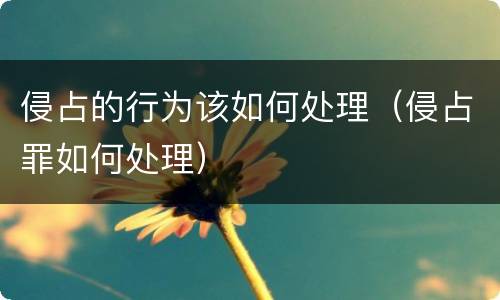 侵占的行为该如何处理（侵占罪如何处理）