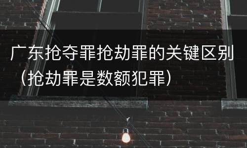 广东抢夺罪抢劫罪的关键区别（抢劫罪是数额犯罪）