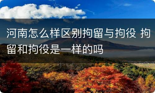 河南怎么样区别拘留与拘役 拘留和拘役是一样的吗