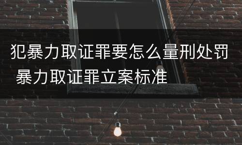 犯暴力取证罪要怎么量刑处罚 暴力取证罪立案标准