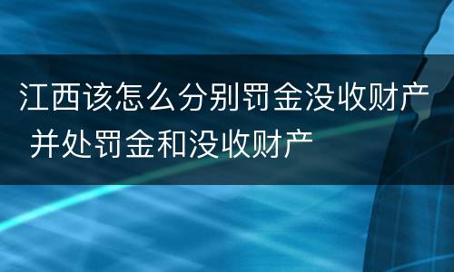 江西该怎么分别罚金没收财产 并处罚金和没收财产