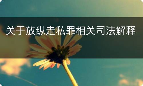 关于放纵走私罪相关司法解释