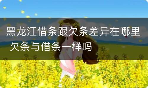 黑龙江借条跟欠条差异在哪里 欠条与借条一样吗