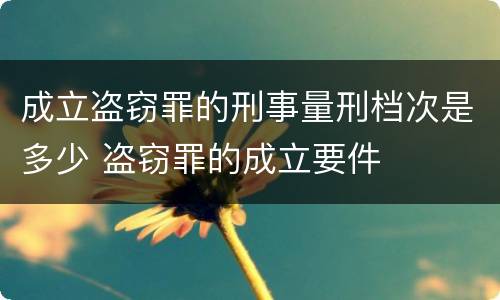 成立盗窃罪的刑事量刑档次是多少 盗窃罪的成立要件