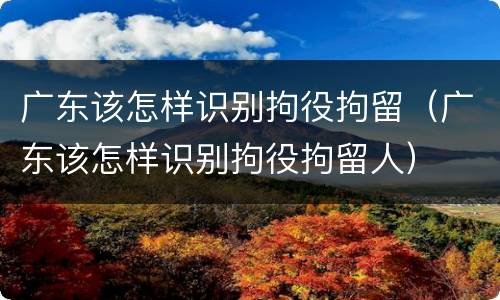 广东该怎样识别拘役拘留（广东该怎样识别拘役拘留人）