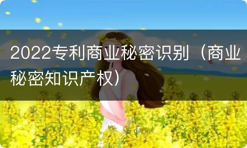 2022专利商业秘密识别（商业秘密知识产权）