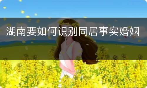 湖南要如何识别同居事实婚姻