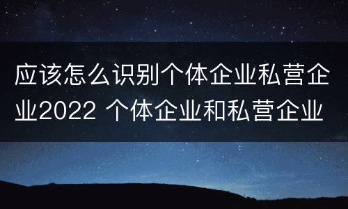 应该怎么识别个体企业私营企业2022 个体企业和私营企业