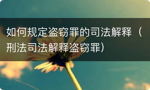 如何规定盗窃罪的司法解释（刑法司法解释盗窃罪）