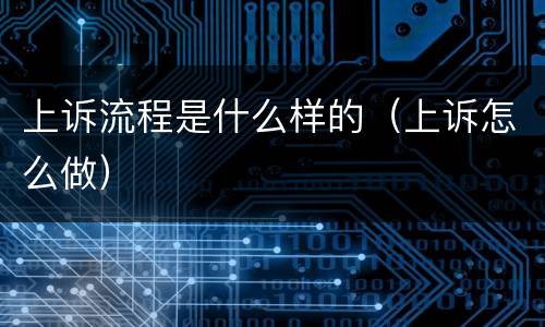 上诉流程是什么样的（上诉怎么做）