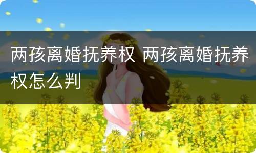 两孩离婚抚养权 两孩离婚抚养权怎么判