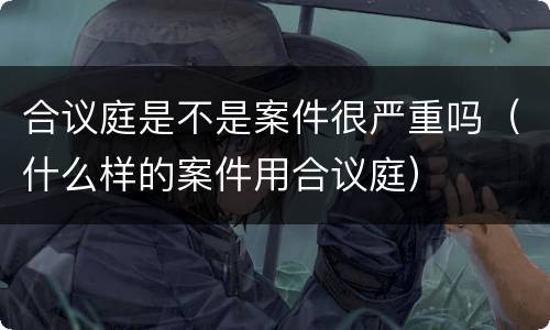合议庭是不是案件很严重吗（什么样的案件用合议庭）